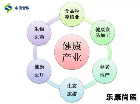 中国大健康产业前景及趋势分析